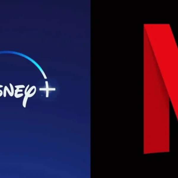DIsney + & Netflix
