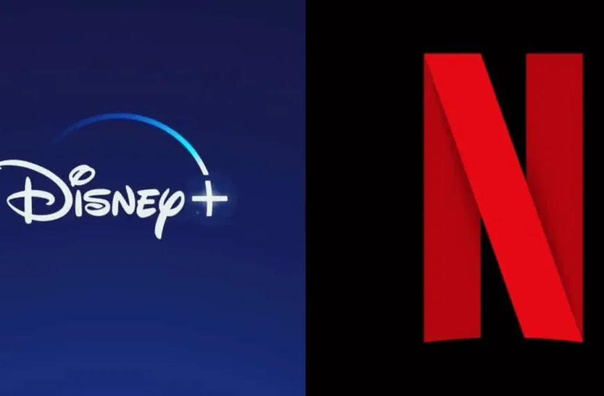 DIsney + & Netflix